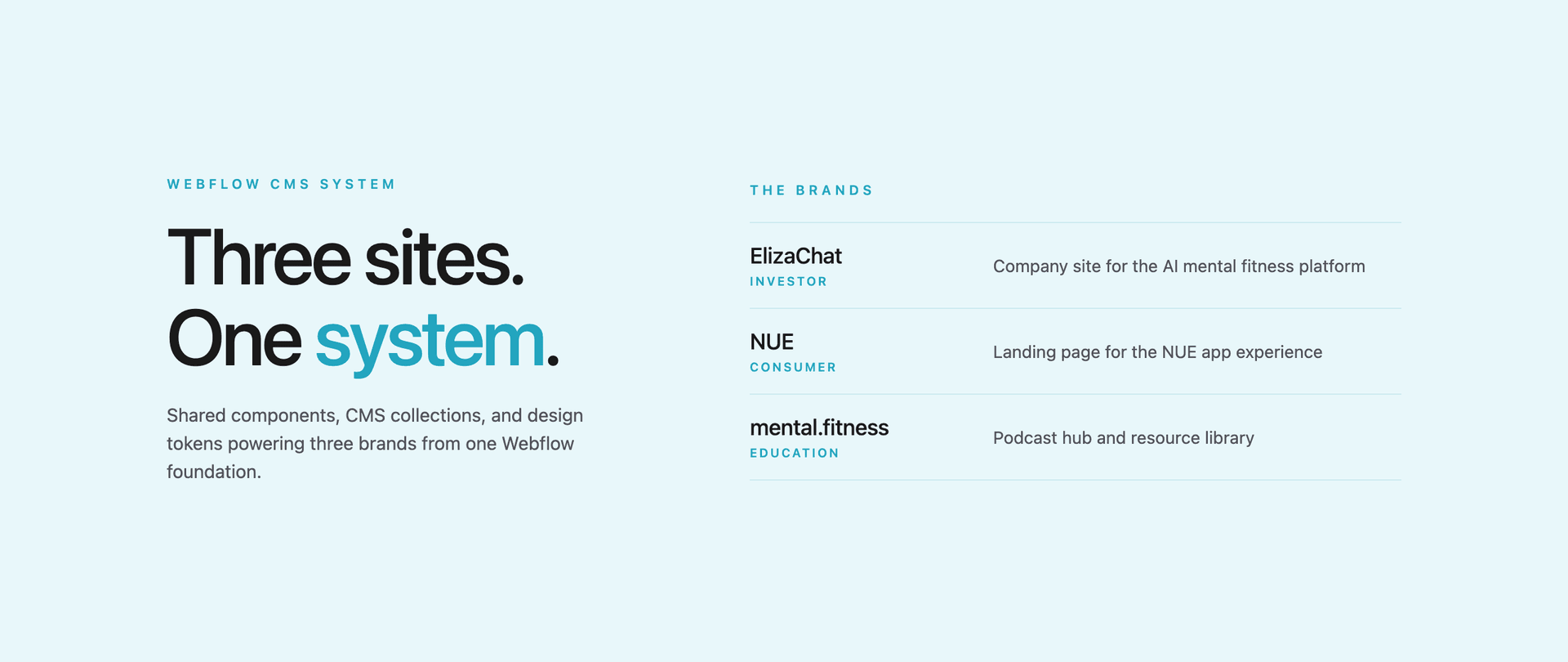 ElizaChat Webflow CMS system